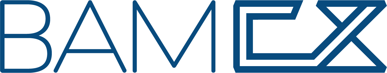 BAM Commissioning Services